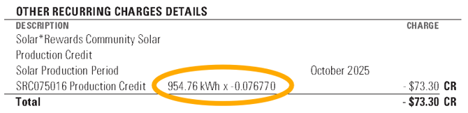 Xcel Energy bill showing Other Recurring Charges section with applied solar credits.