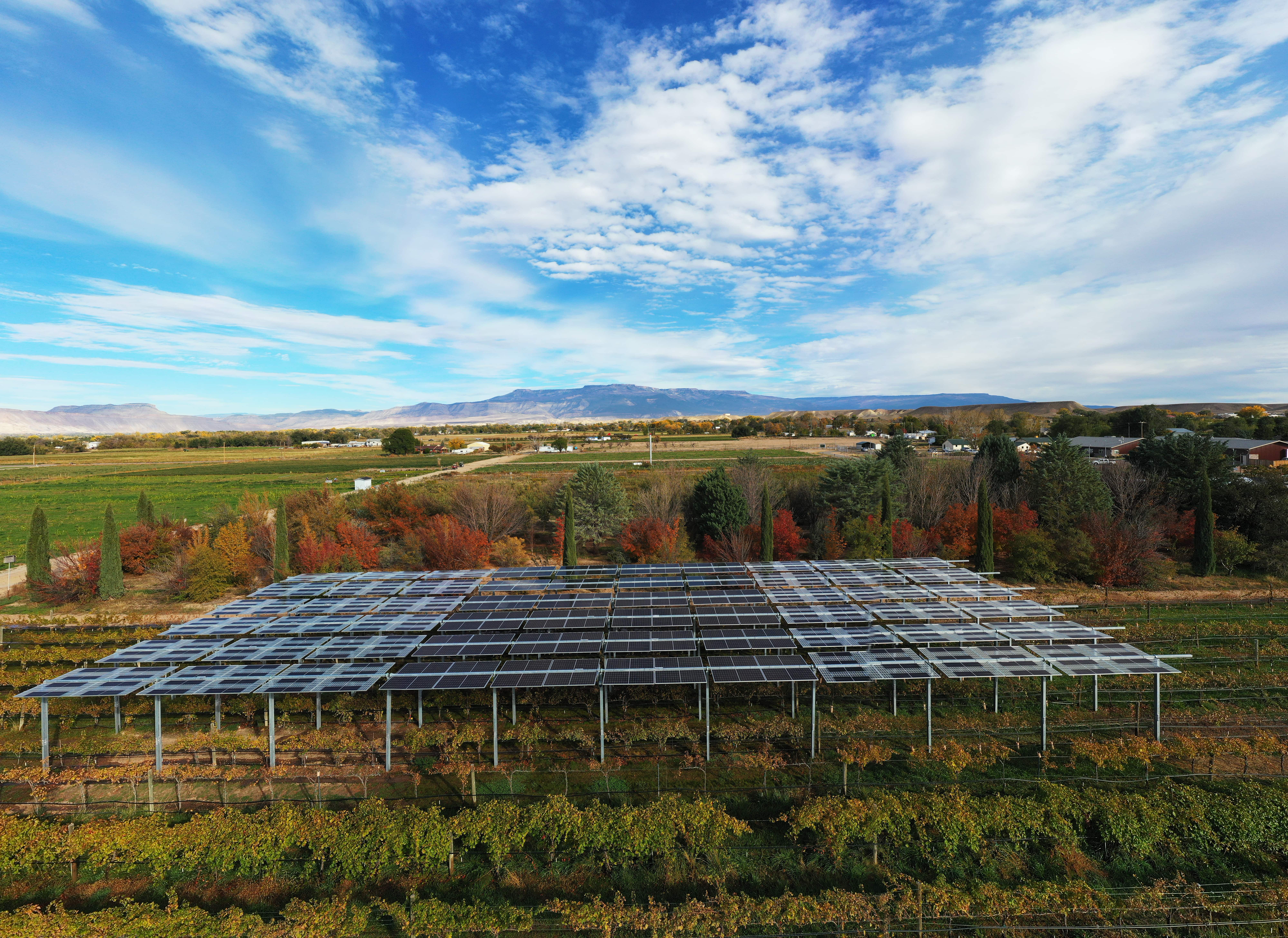 Grapes + Solar Panels: Vineyard Farming in Grand Junction