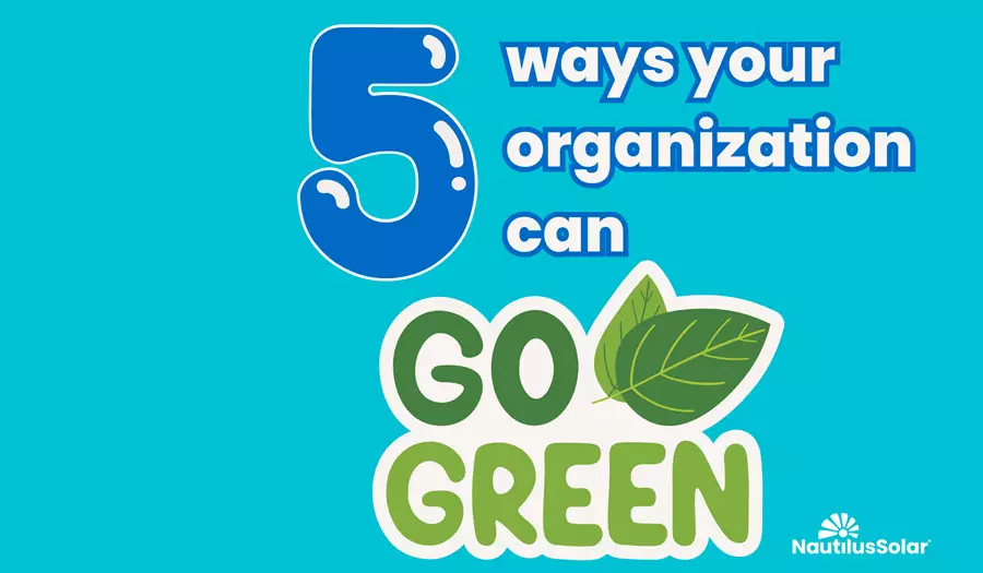 5 Ways Your Organization Can Go With Green Energy and Save