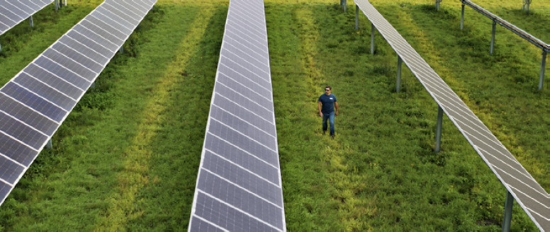 man walking in between two solar panels in a field
