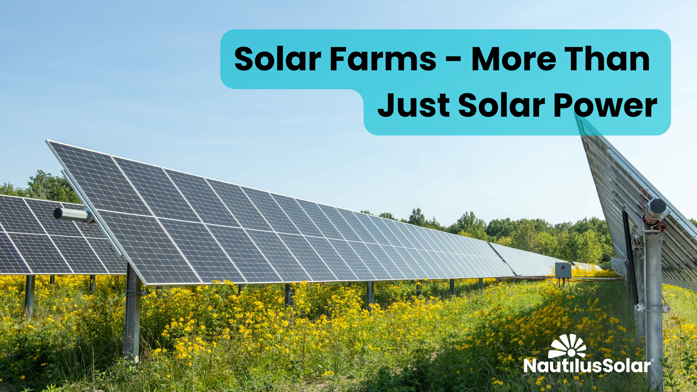 More Than Just Solar Power – We’re Helping Make American Farms Viable